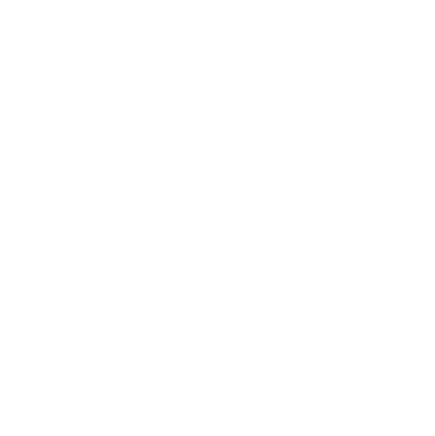 Valise