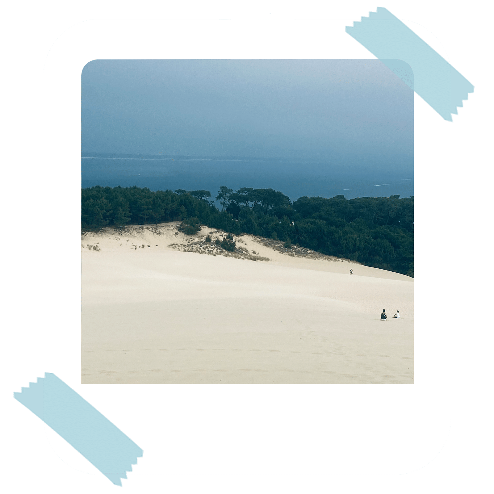 Si tu viens à Arcachon, il faut absolument faire l’ascension de la Dune du Pilat. Pour y monter, tu peux grimper directement la dune ou emprunter l’escalier de 160 marches. Ce petit effort en vaut vraiment la peine : au sommet, tu profiteras d’une vue à couper le souffle et pourras prendre de superbes photos en souvenir.